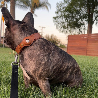 Customized Genuine Leather Dog Collar Airtag Holder