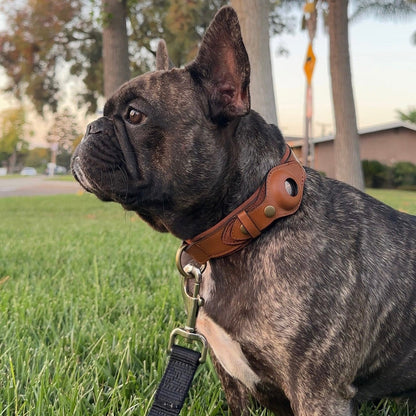 Customized Genuine Leather Dog Collar Airtag Holder